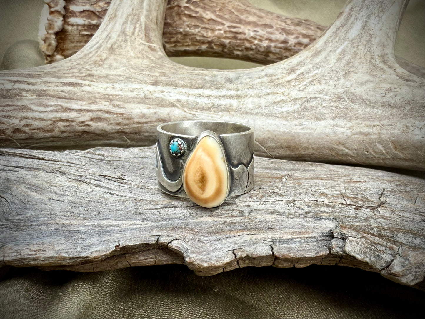 Custom Elk Ivory