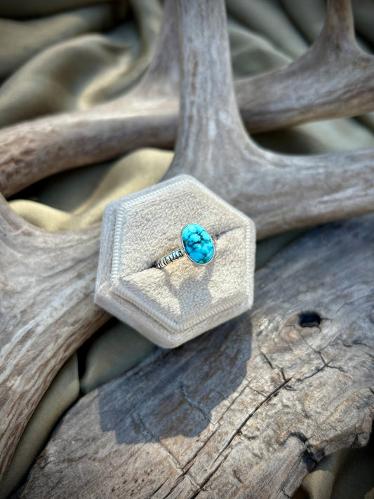 The Painted Canyon Ring II