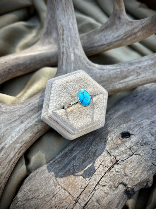 The Painted Canyon Ring IV