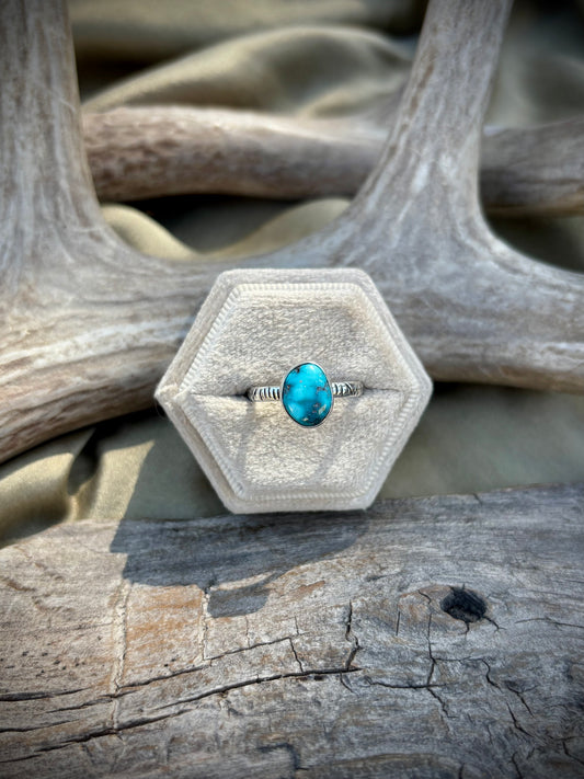 The Painted Canyon Ring III